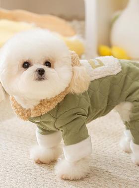 Autumn puppies with warm tampons to pull on the four-legged