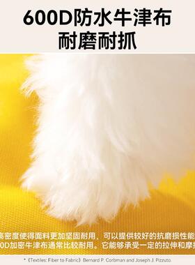 The dogs big eyes hit the car and went out to the dogs nes