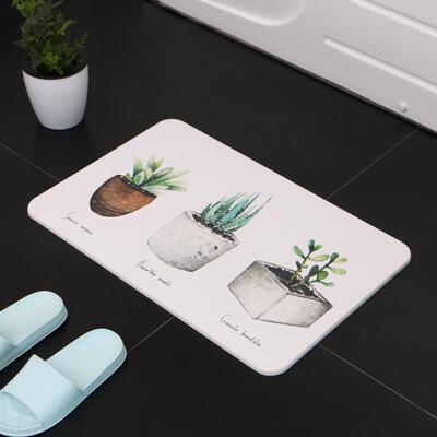 The cactus silica silica silica silica silica silica silica