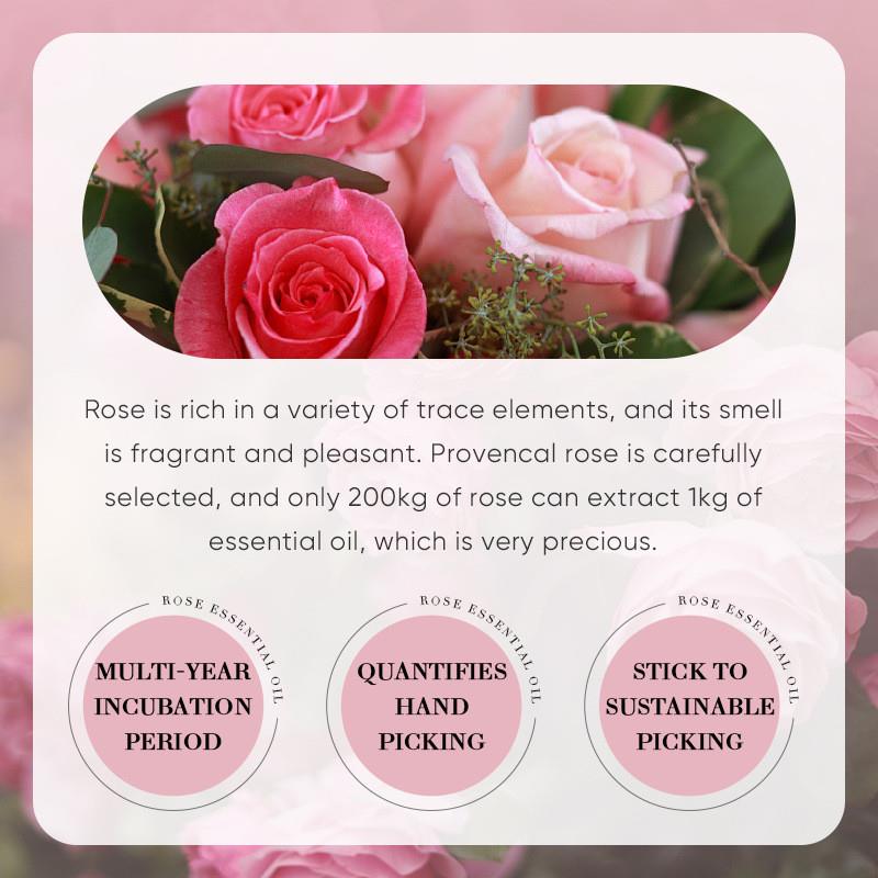 Rose oil locks a fine colored massage oil body care trade.