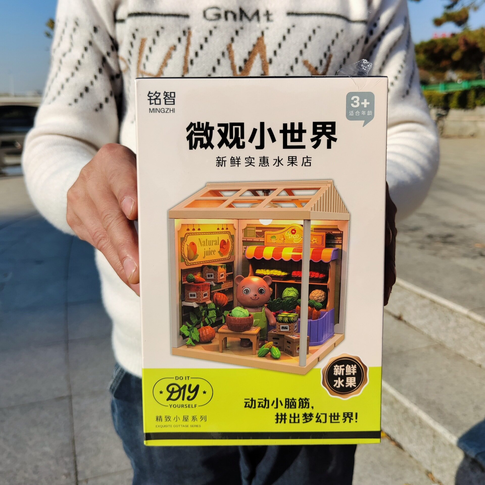 DIY拼装精致小屋仿真小熊水果店微观小世界模型益智玩具招生礼品