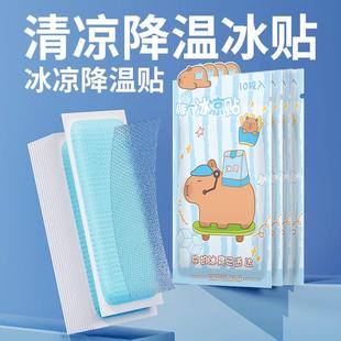 Cooling Patches, Ice Packs for Summer Heat Relief, Phone Coo