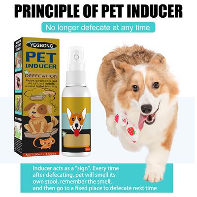 Pet Toilet Training Spray - Potty Positioning and Induction