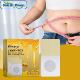 Moon and Bee Slimming South Tightening Venom Patches Firmi