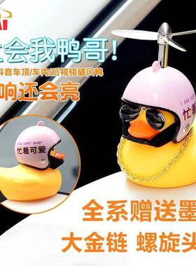 Internet celebrity car wind-breaking duck bicycle, cute litt
