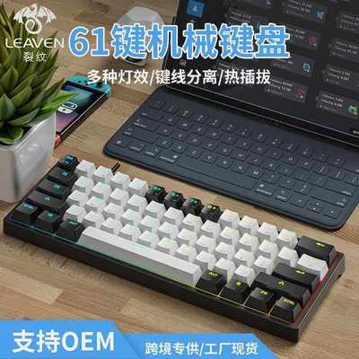 Mechanical Keyboard RGB Type-C Wired Gaming Keyboard机械键盘