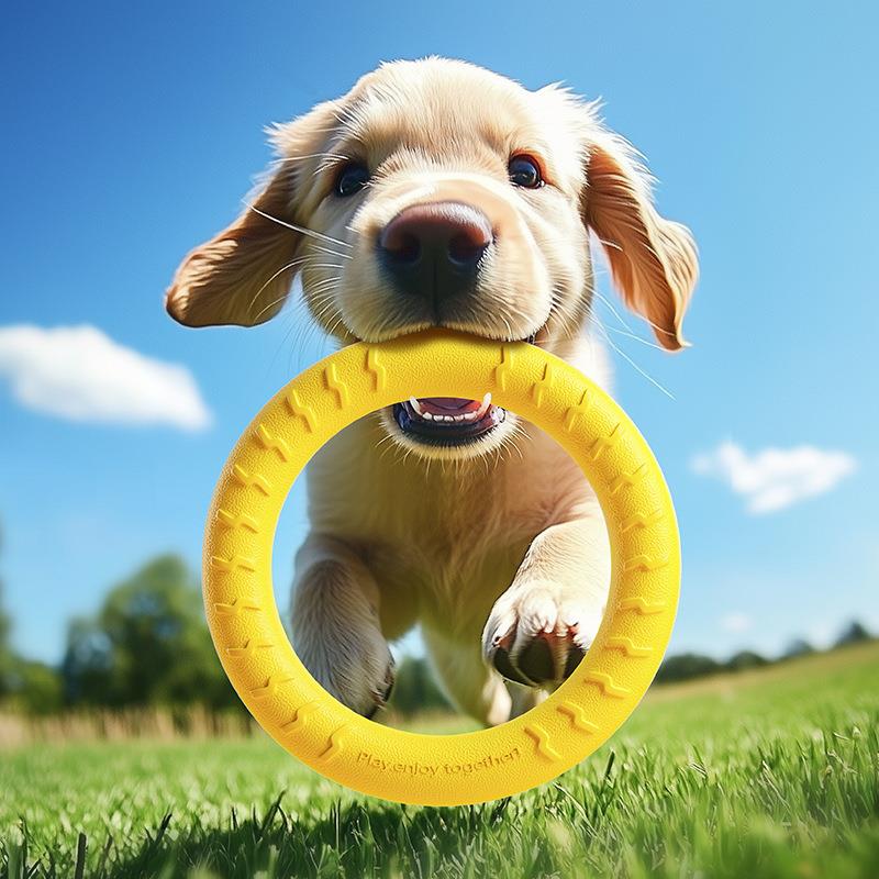 Durable Elastic Ball Toy for Dogs - Perfect for Large Breeds