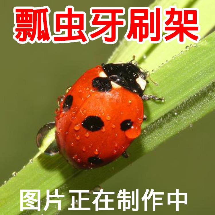 Cartoon Ladybug Toothbrush Holder, June Bug Suction Cup Stor