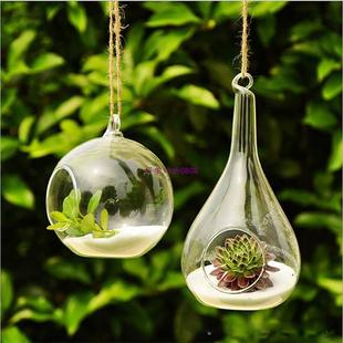 Ter Landscape Clear Glass Ball Creative Air Micro Vase Plant