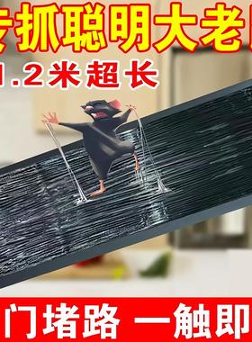 Super Strong Adhesive Mouse Trap, Large Size, Invisible and