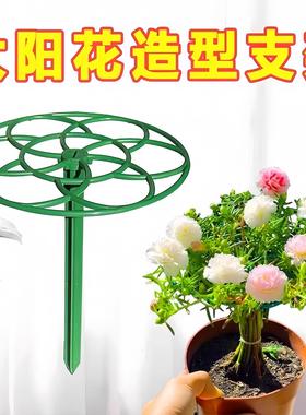 Flower stand pots, sunflower lollipops, climbing plant shapi