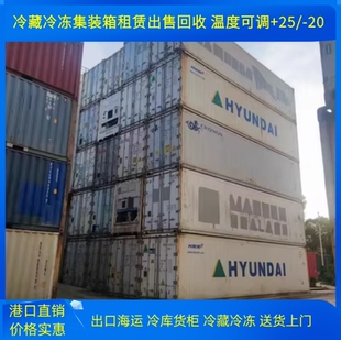 港口出售冷藏集装箱 二手集装箱 移动冷库 冷链物流 海运货柜仓库