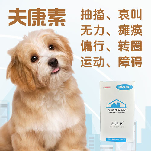神经炎抽筋腿瘸狗抽搐猫后腿无力