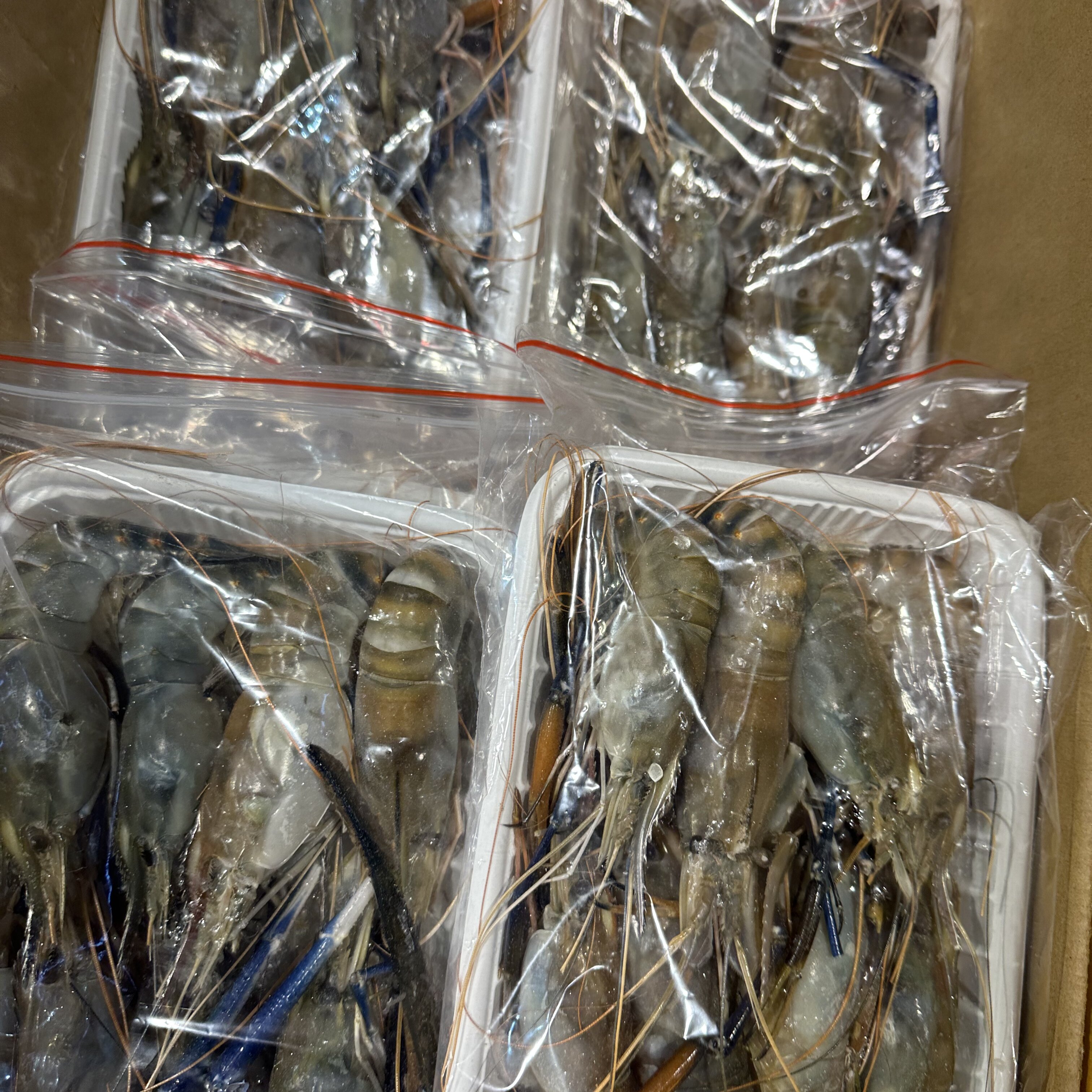 罗氏虾4 盒,水产肉类/新鲜蔬果/熟食,安康鱼,淘宝优惠券,粉丝福利购,淘宝优惠卷