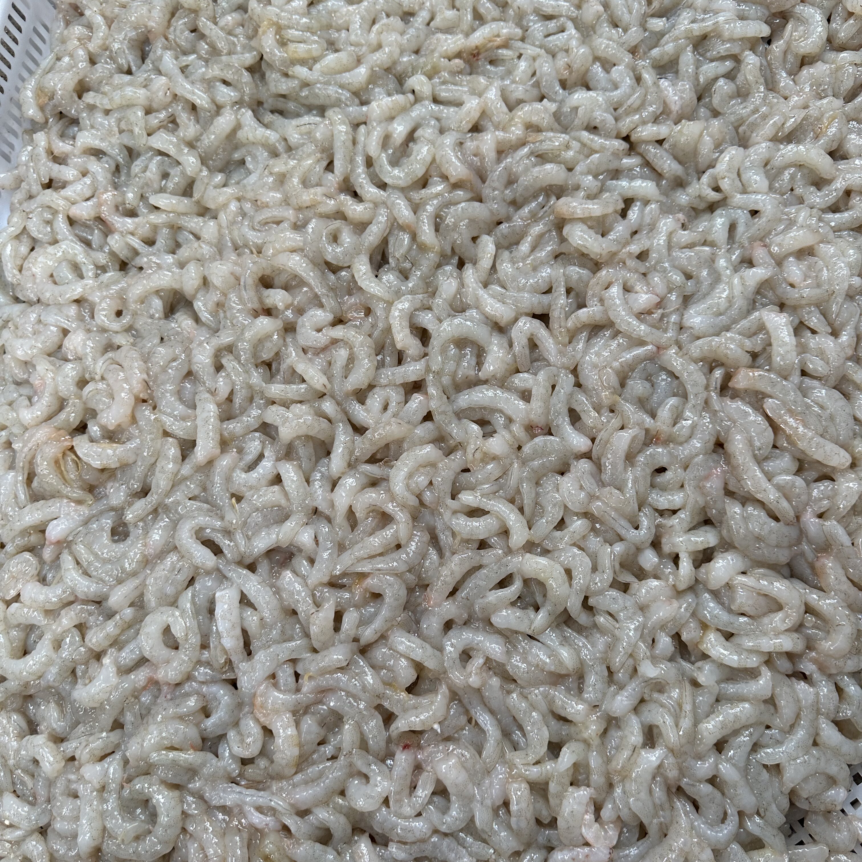 虾仁