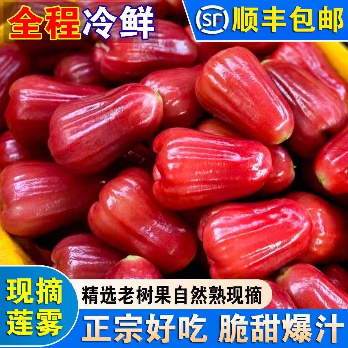 【顺丰可选】海南黑金刚莲雾三亚莲雾果海南新鲜水果当季脆甜