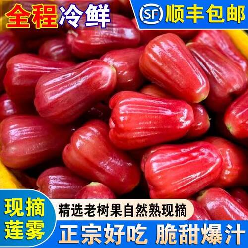 顺丰海南黑金刚莲雾三亚莲雾果海南新鲜水果当季脆甜孕妇水