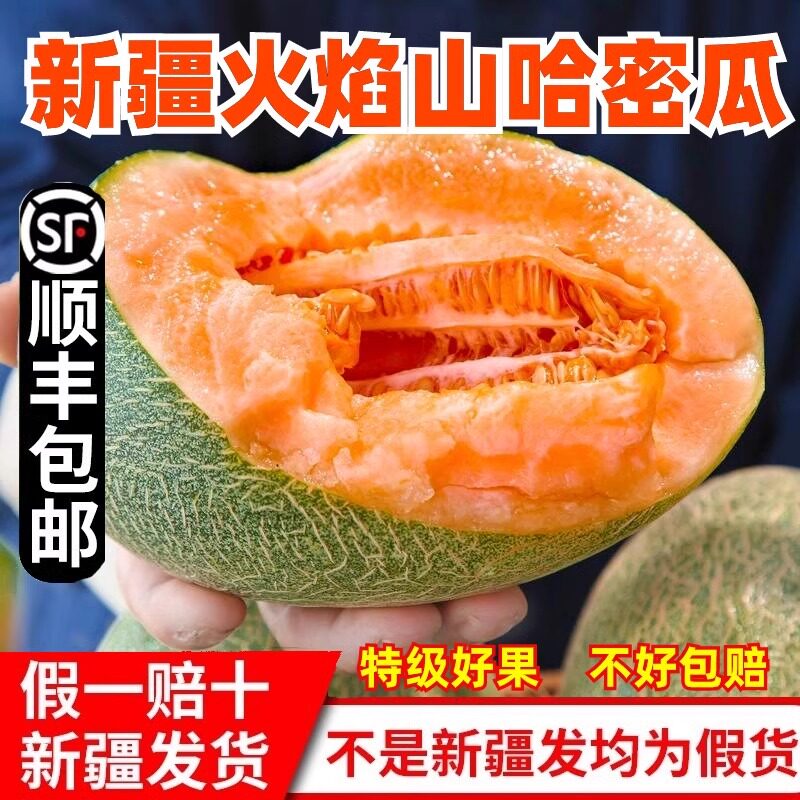 新疆哈密瓜新鲜西州蜜25号水果应当季网纹吐鲁番甜瓜整箱9斤包邮