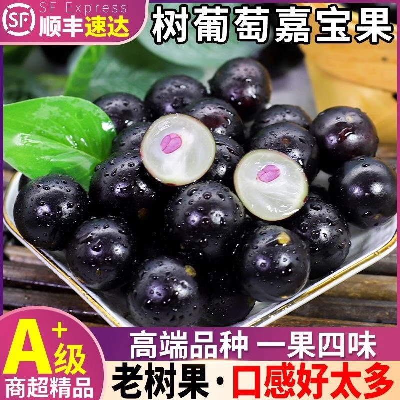 【顺丰】正宗沙巴嘉宝果新鲜树葡萄鲜果现摘现发大果嘉宝果罕见