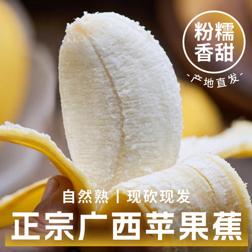 正宗苹果蕉香蕉新鲜自然熟当季小米芭蕉香焦皇帝蕉苹果粉蕉包邮