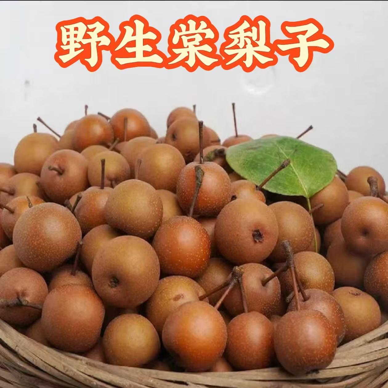 野生棠梨好吃产地直发