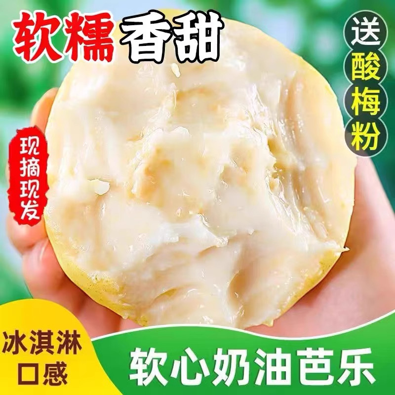 新鲜软糯奶油冰淇淋口感芭乐白心芭乐番石榴新鲜现摘水果鸡屎果