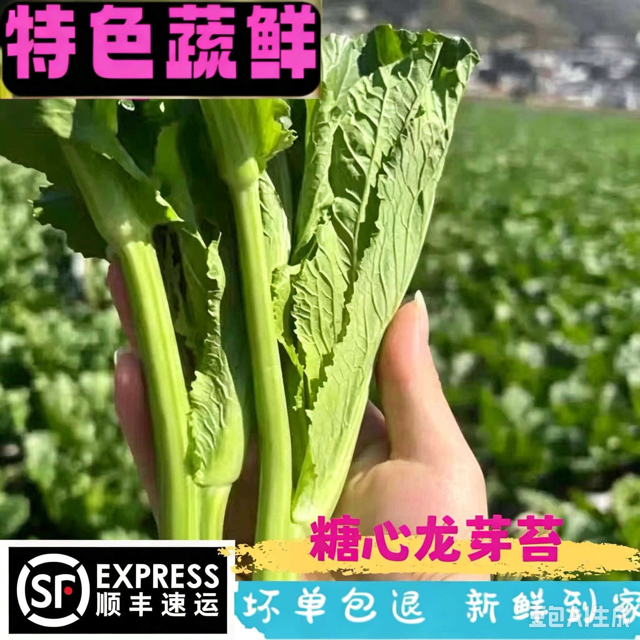 顺丰高原冰糖龙牙苔蔬菜青菜苔霜冻菜酒店特色食材龙芽苔甜杆菜