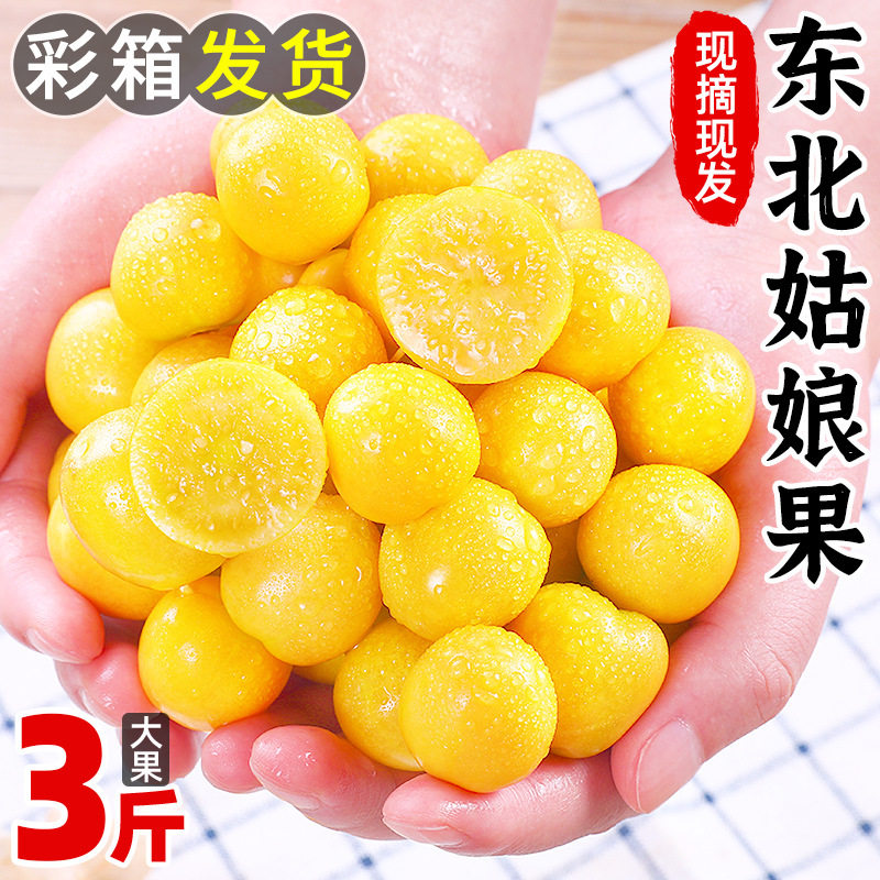 东北新鲜姑娘果3斤装当季水果黄菇娘甜洋灯笼果特产整箱包邮,水产肉类/新鲜蔬果/熟食,桔子,淘宝优惠券,粉丝福利购,淘宝优惠卷