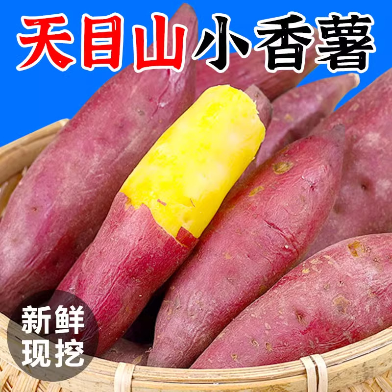 临安天目山小香薯新鲜整箱
