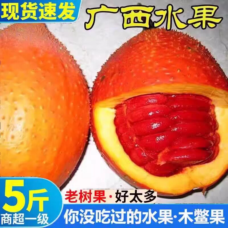 广西新鲜现摘木鳖果农家种植木鳖瓜苓子甜葫芦天堂果现摘现发青果