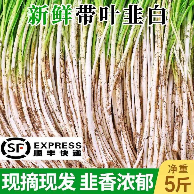 新鲜带叶韭白农家自种韭菜当季现挖时令蔬菜包饺子韭菜花顺丰包邮