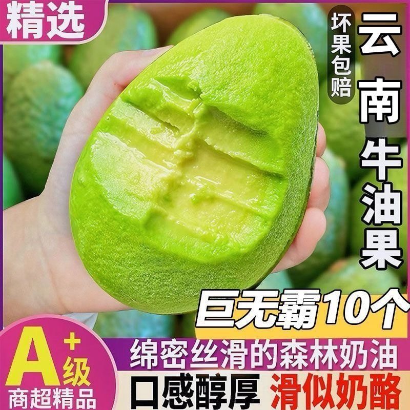 云南哈斯牛油果新鲜水果一级大果国产应当季整箱包邮鳄梨非全熟