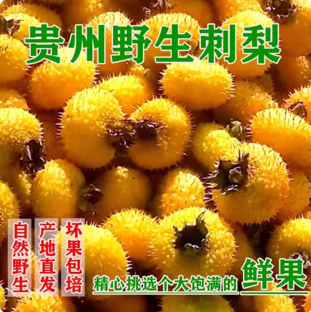 贵州特产刺梨鲜果VC泡酒