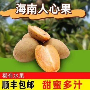 【顺丰】海南热带当季罕见稀奇养生圣果人心果5斤人参果孕妇水果