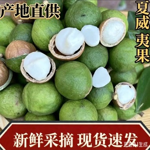 云南新鲜夏威夷果原味生果澳洲坚果干果无添加孕妇可食现摘现发