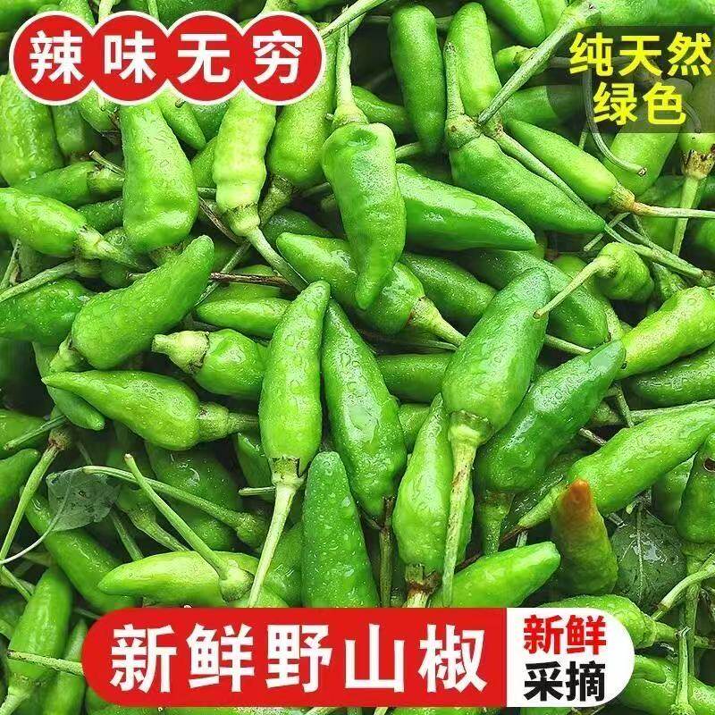 广西野山椒3斤特辣农家青椒指天椒朝天椒泡椒小米辣椒新鲜包邮