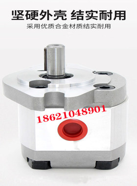 台湾P101 P102 P104 P105 P106 P107 P109 P127 P135RP01G 齿轮泵