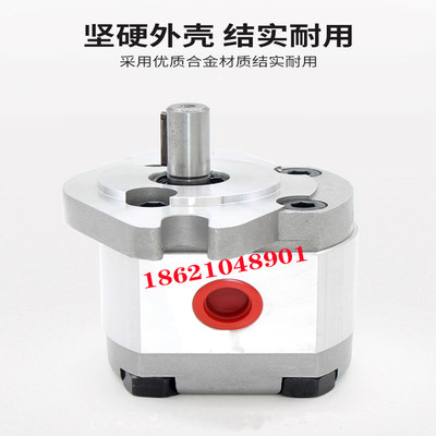 台湾P10124567935RG齿