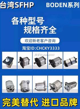 boden齿轮泵BHP2A0D14H2Z13 BHP2AOD R 18H/D20/D25/D36H2Z13R