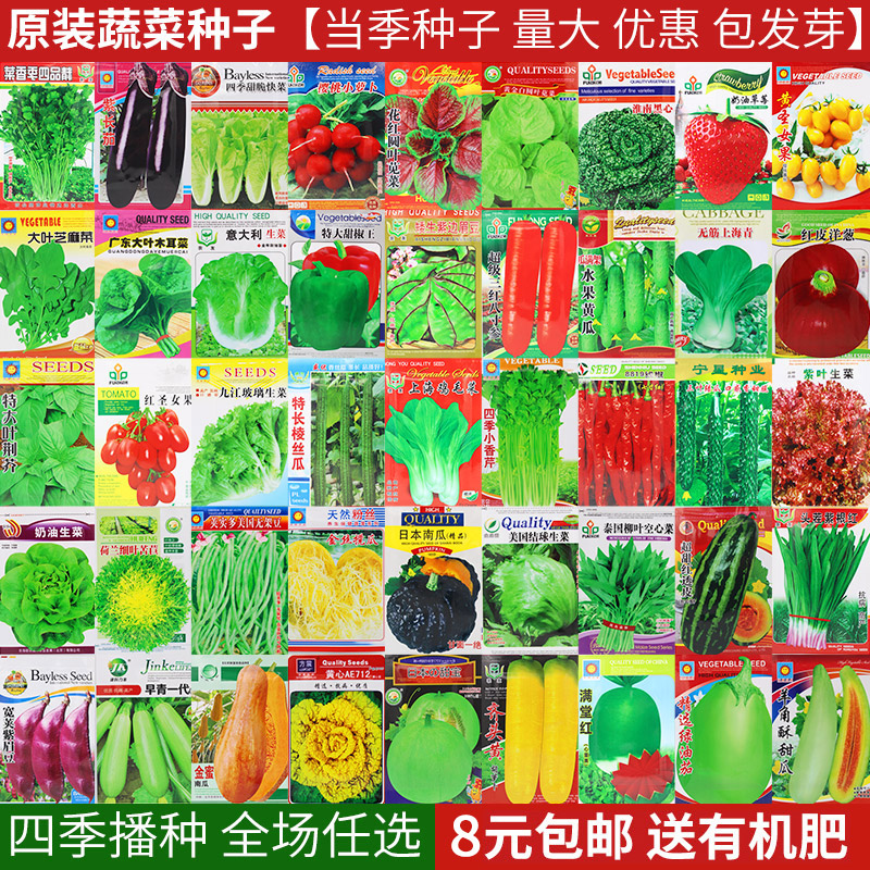 四季股票K線套利