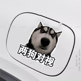 趣味哈士奇表情包两狗对视车贴搞笑汽车贴纸后尾装饰电动摩托车贴