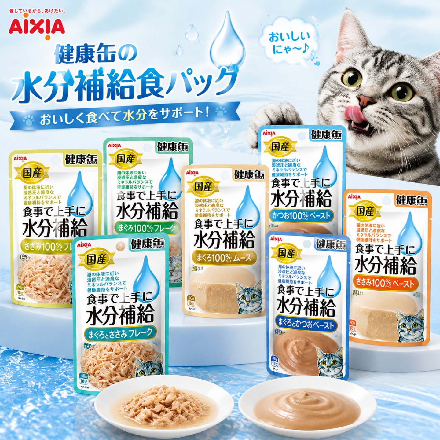日本进口AIXIA爱喜雅机能餐包水分能量补充口腔护理猫罐补水湿粮