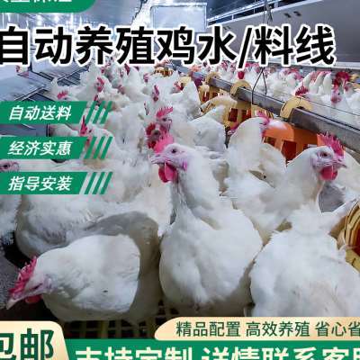 鸡水线料线大全自动饮喂水器养殖场平养鸡吊杯鸡鸭升降上料加料机