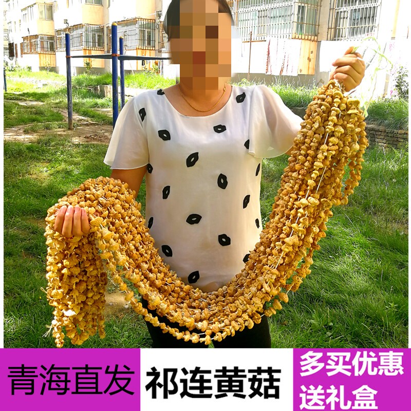 2025青海祁连山黄蘑菇礼盒祁连黄菇钉子菇黄蘑菇特价100g包邮