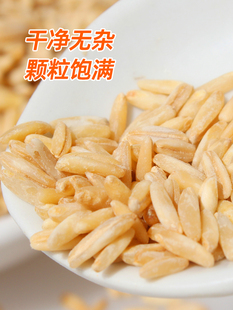 新米燕麦米全胚芽燕麦米米饭伴侣五谷杂粮粗粮农家裸燕麦500g