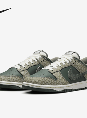 Nike/耐克正品 Dunk Low 男士复古低帮休闲板鞋HF4878-053