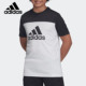 阿迪达斯正品 新款 男大童运动短袖 Adidas T恤DV2917 DV2920
