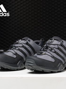 Adidas/阿迪达斯正品 TERREX SWIFT R2 GTX 男子休闲户外鞋CM7493