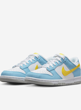 Nike/耐克正品Dunk Low新款女子运动耐磨低帮休闲板鞋 DX3382-400