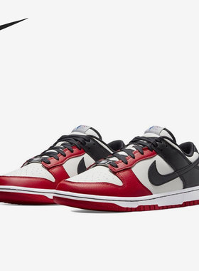 Nike/耐克正品Dunk Low秋季新款男子运动时尚低帮板鞋DD3363-100